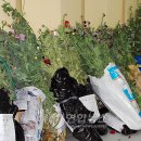 동해-단속-41 이미지