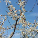 학마을농장 이미지