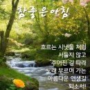 나이테