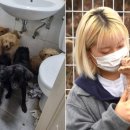 개ST하우스 국민일보
