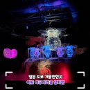 금붕어 - 제주시 한림로 685 | 일본 도쿄여행 긴자 미쓰코시 감성가득한 금붕어 아쿠아리움 후기