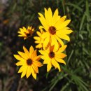 동해해물탕 이미지