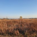 대산문화체육공원(야구장) 이미지