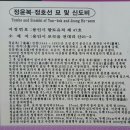 정윤복, 정호선묘 및 신도비 | 용인~정윤복 정호선 효자비