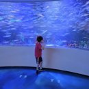 대신초교병설유치원 이미지