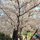 낭월7호어린이공원 | 어린이대공원 동물원 주차 이용시간 아이랑 가볼만한 곳