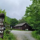 곰배령 쥐와 돼지 이미지