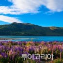 낭만투어 이미지