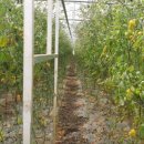 규섭농장 이미지