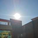 화평대군 | 영천 화평대군 후기