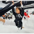 양지태권도장 이미지