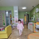 길따라꽃따라