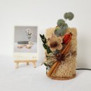 구운동주민센터 | [공지] 열매 수세미 공예 수업으로 완성하는 공공기관 학생, 시니어 프로그램