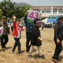 매전초등학교 이미지