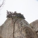 남해-151 이미지