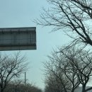 11260-2-1-49 | 논산 어린이AI상상놀이터 예약, 입장료 없이 방문 후기 (49개월, 33개월)