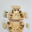 나온치과기공소 이미지