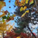 시흥시 전용배드민턴장 이미지