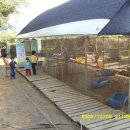 하나농장B 이미지