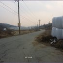 상장1리 Daum카페