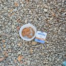 청송로 | 11개월 아기와 파주 하늘연캠핑장 당일 글램핑 후기 꿀팁