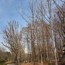 우면산3-21 | [서울둘레길 - 다섯번째] 서울둘레길10코스(우면산) ~ 서울둘레길11코스(관악산) 탐방후기