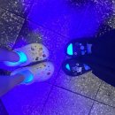 성윤조경