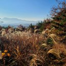 독천초등학교 | 흑석지맥 은적분맥 영암 장정산(莊丁山, 207m) 근교산행