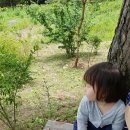 몽린이집 이미지