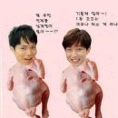 컨츄리 꼬꼬 카카오 검색결과