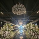 CN부페 웨딩홀 앞 반대편 횡단보도 | 인천 웨딩홀 6곳 발품팔아 비교 후기✨