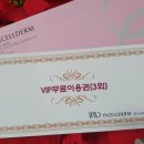 인셀덤딩동댕