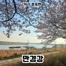 만경강 | 전북 전주 익산 만경강 벚꽃길 러닝이나 산책하기 좋은 가족 나들이 장소 추천