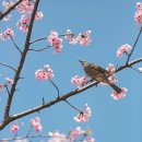 물길복원길2 이미지