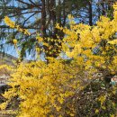 옛 국민학교 시절의 회상(回想) 이미지
