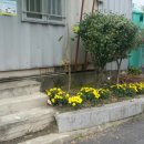 태평1동 주민센터 이미지