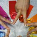 색채의 숲 이미지