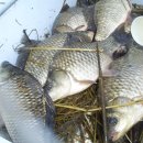 동상건강원 이미지