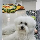 쌀롱 드 빼로 이미지