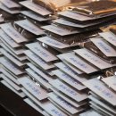 오월의 그루밍 이미지