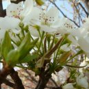 부림중학교 이미지