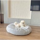 스텔라 펜션 이미지