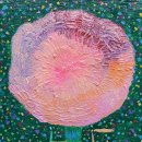 대화2호 이미지