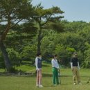 파크골프 이미지