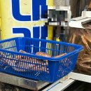 기장시장대게 이미지