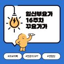 꾸요가거여점 | 16주차 아내와 꾸요가 임산부요가 첫 수업, 만족도 100%
