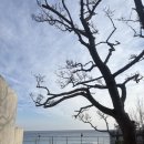 예스 나동 이미지