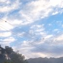 수함요새 이미지