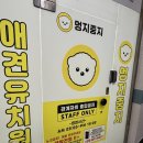 멍지중지 이미지