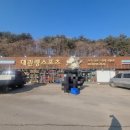 이용기스포츠